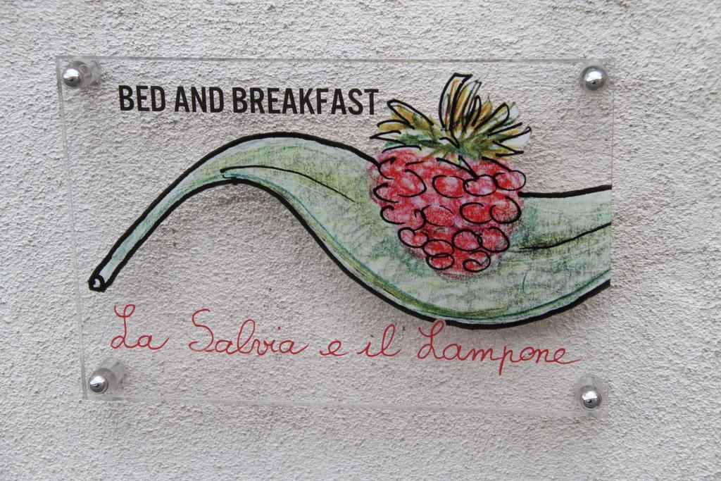 Bed and Breakfast La Salvia E Il Lampone Pove del Grappa Экстерьер фото
